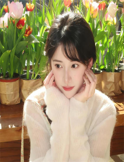 绝对好奇：透视黄石公园结局是什么意思？大结局深度解读与详细分析